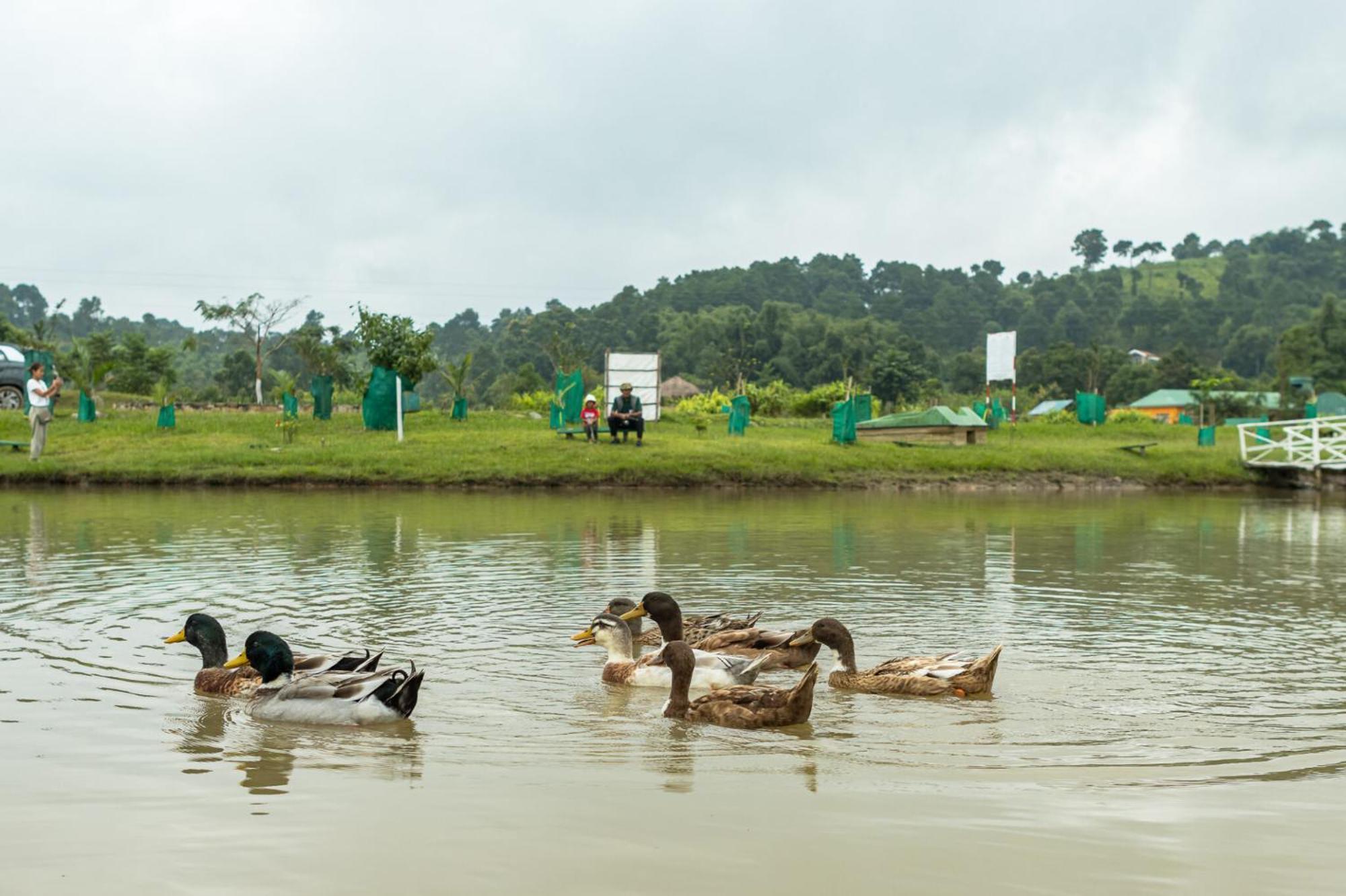 Sunshine Farms And Resort Shillong