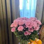 Hotel Pegasus Crown