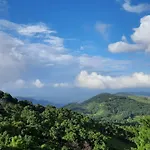 Hills Abode Shillong
