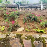 Arisan Bed And Breakfast