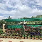 Orange Homestay