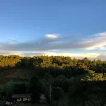 Pine Hill Home Stay
