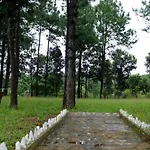 The Hareth