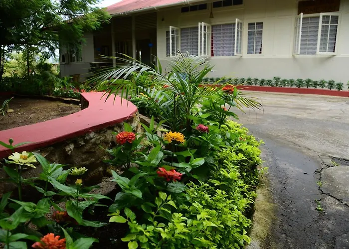 Mid Pine Home Stay