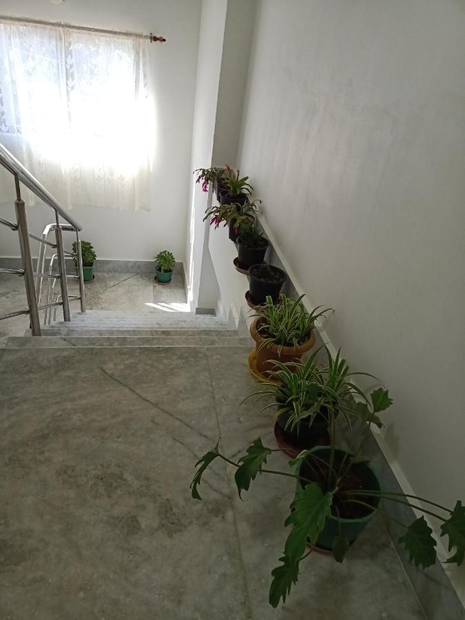 Guest house Manna Inspira *