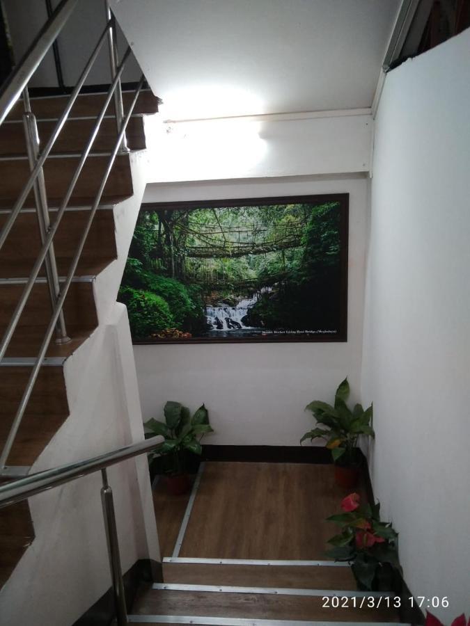 White Rabbit * Shillong