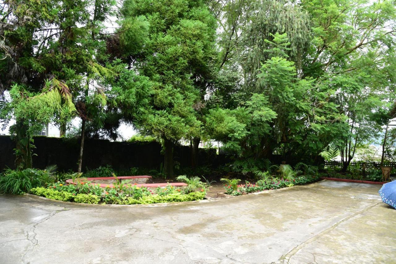 Homestay Mid Pine *