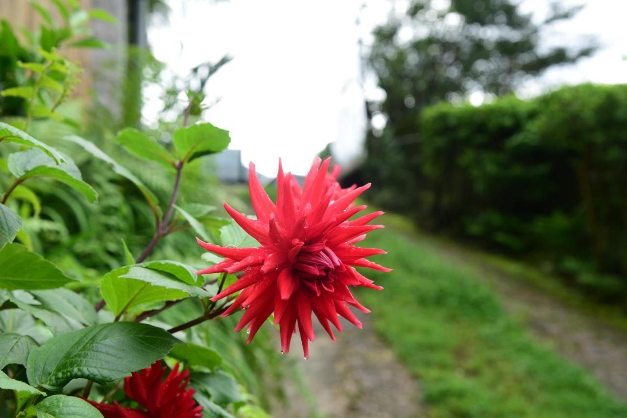 Mid Pine Homestay Shillong