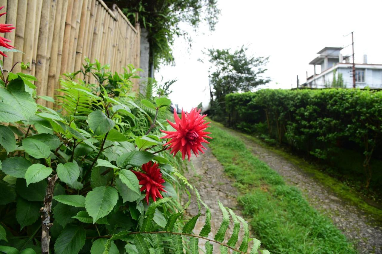 Homestay Mid Pine *