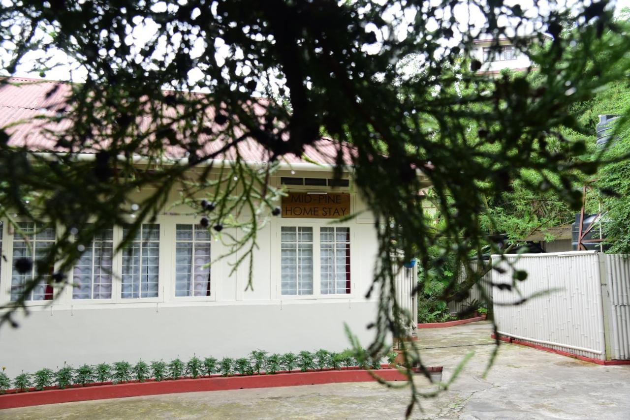 Mid Pine Shillong