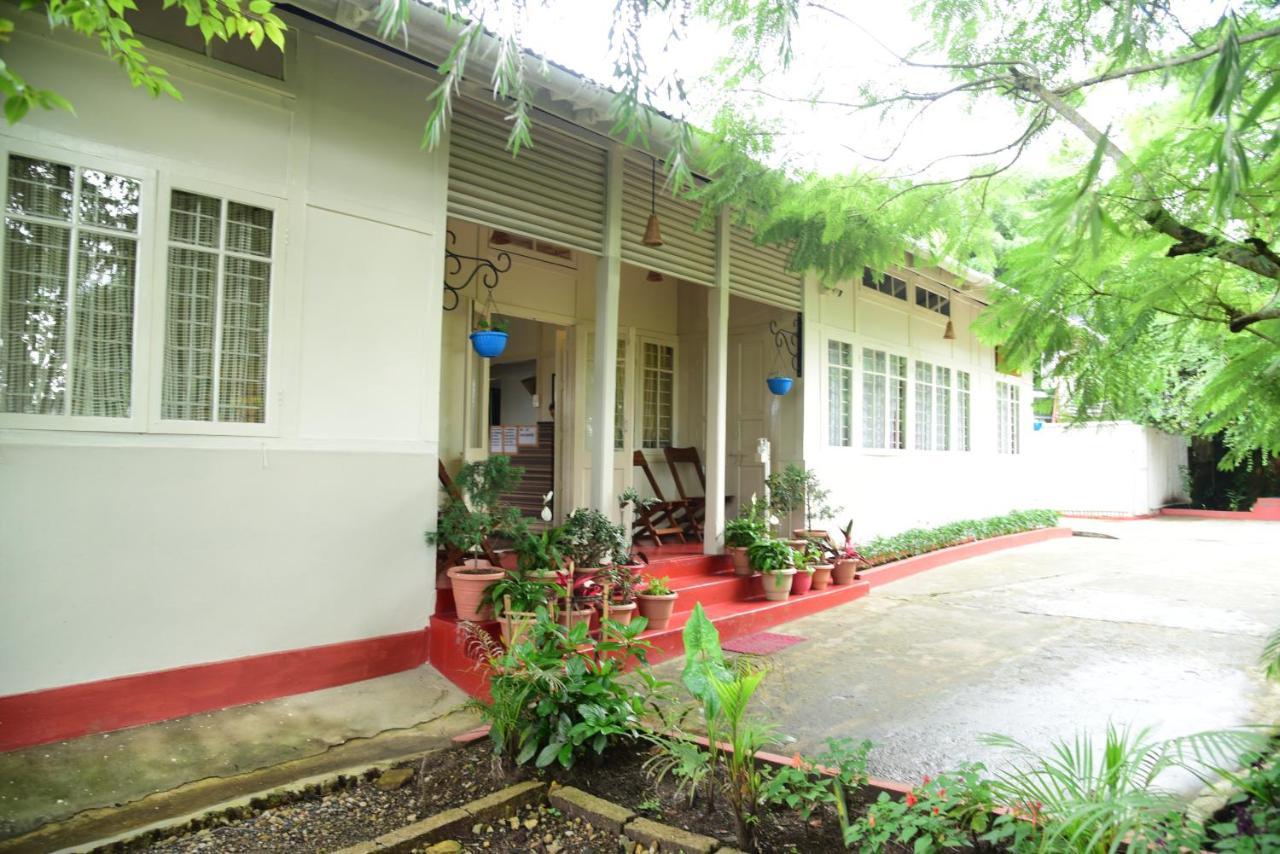 Homestay Mid Pine *