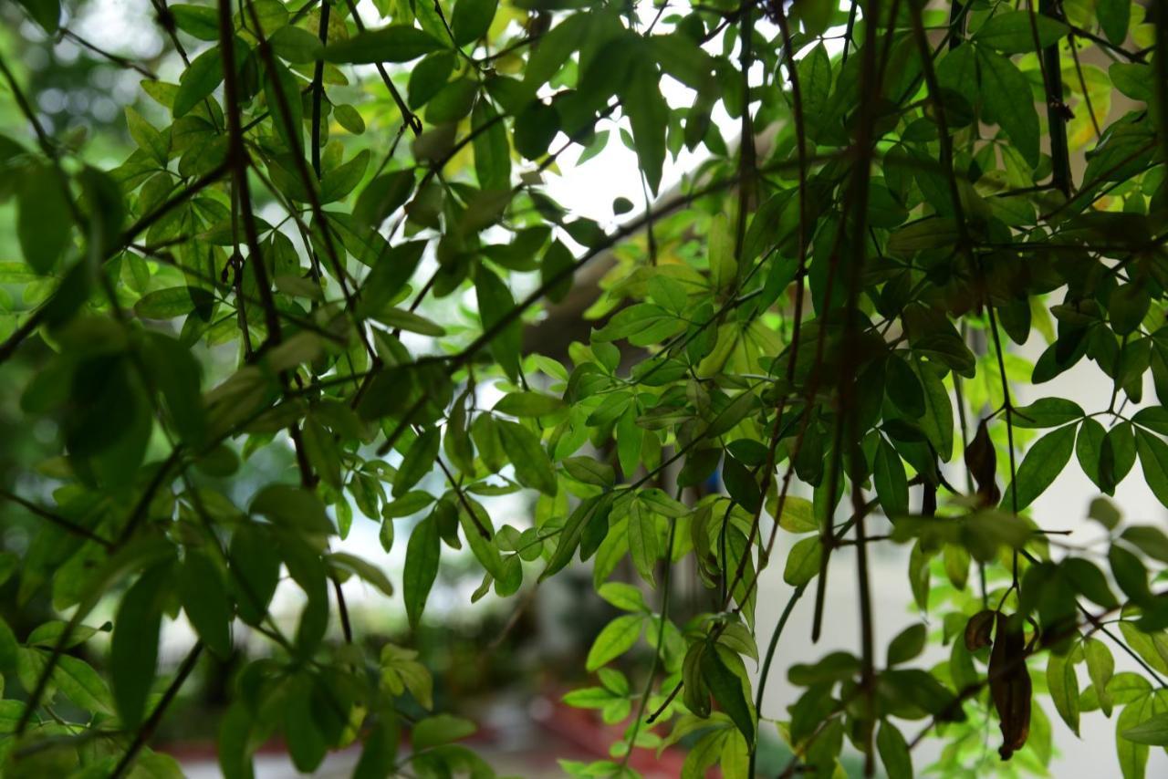 Homestay Mid Pine Shillong