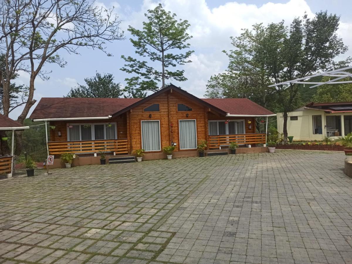 Ri Shat Sngi Orchid By World Choice Shillong