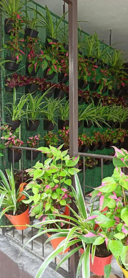 Phibha Bed & Breakfast Shillong