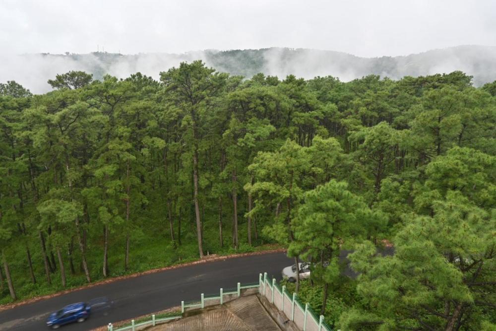 Treetops Residency * Shillong
