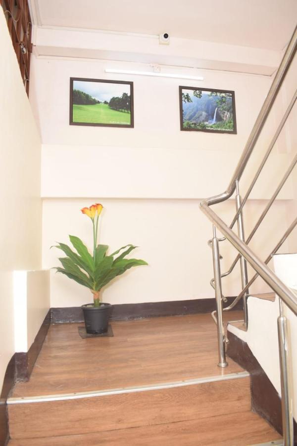 Guest house White Rabbit