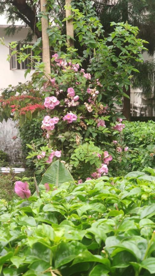 The 1959 House Homestay