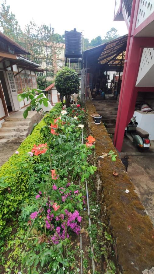 Homestay The 1959 House