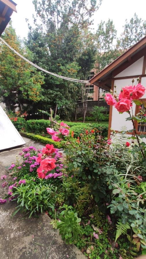 The 1959 House Homestay *