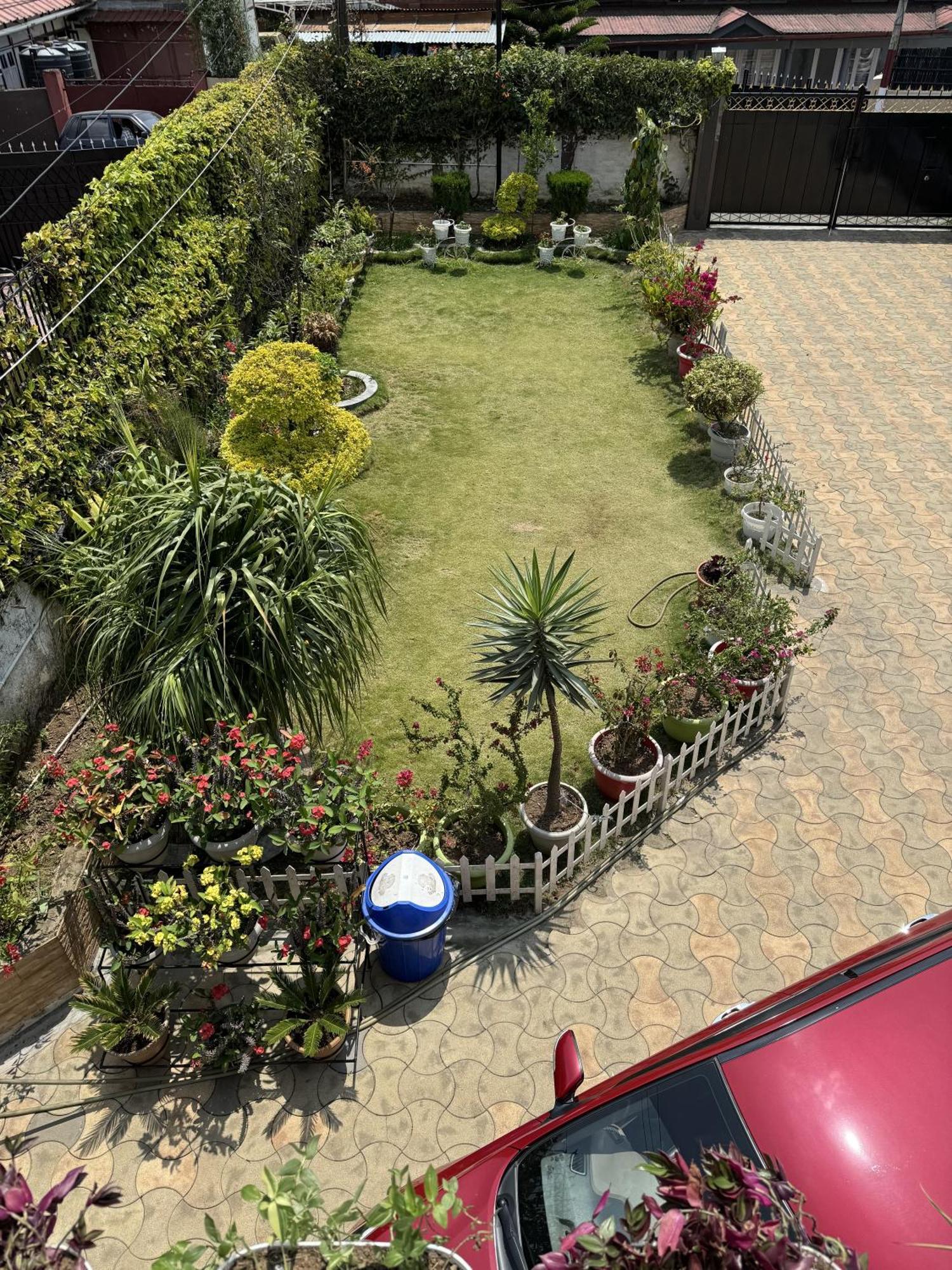 Fratelli * Shillong