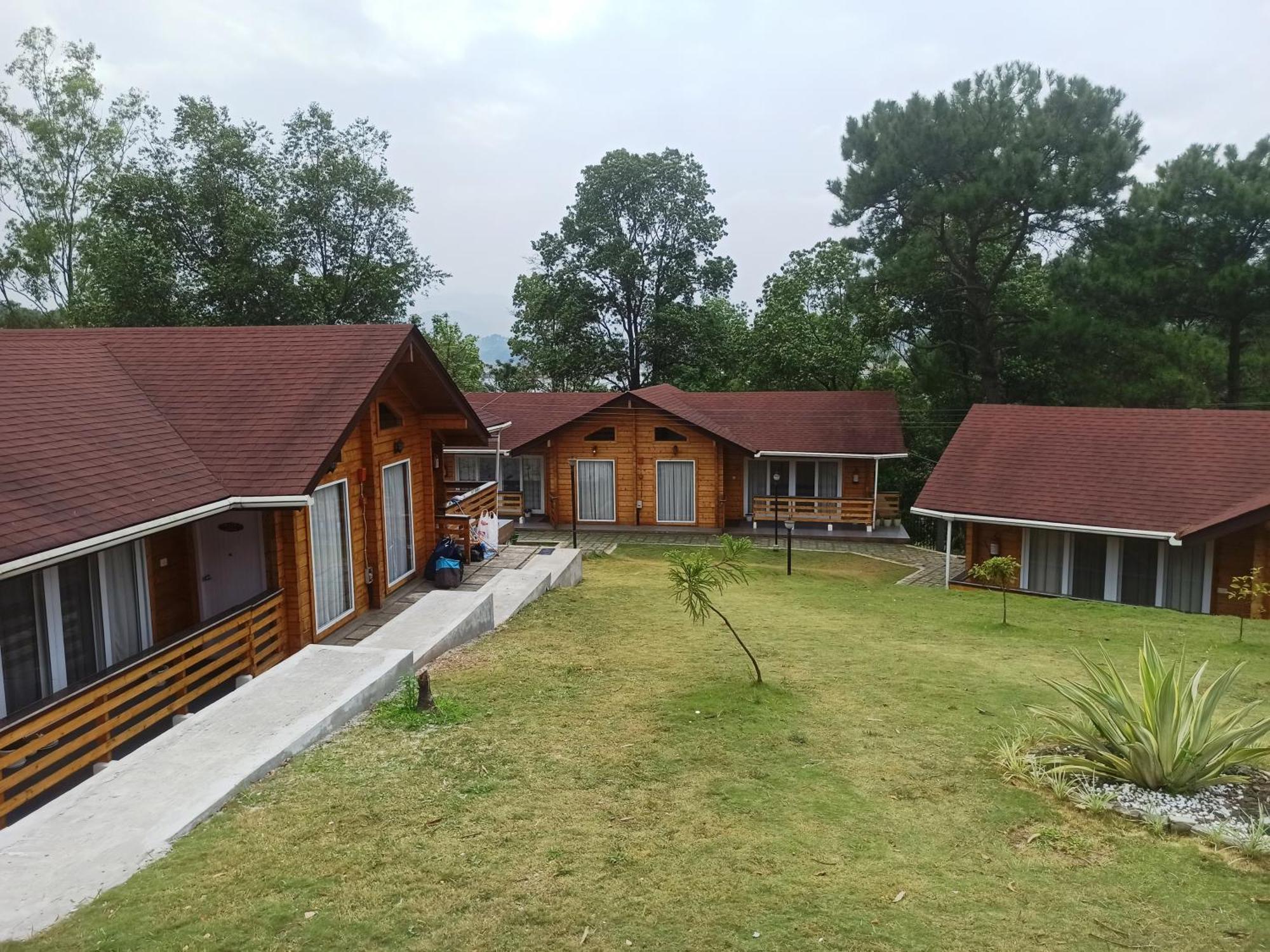 Rishat Sngi Orchid Shillong