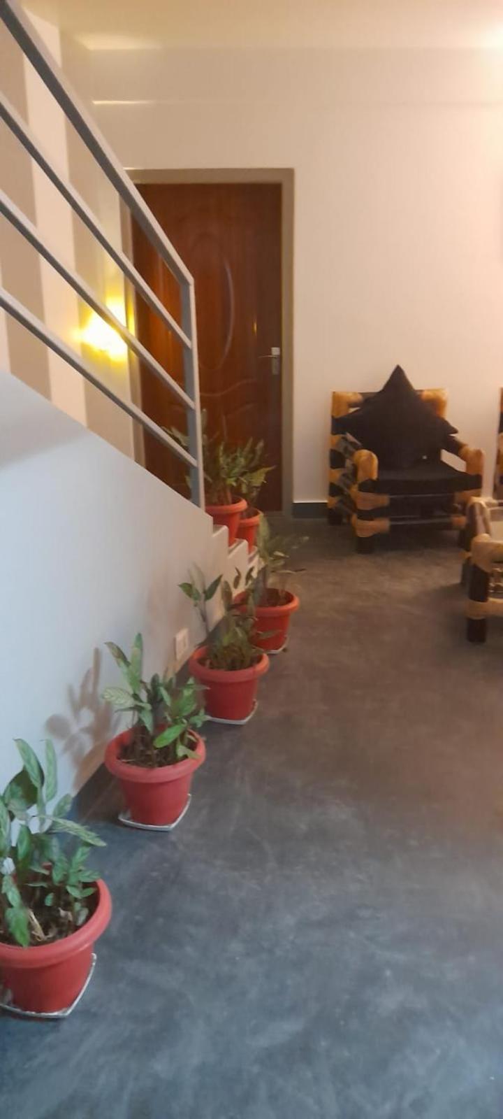 Medajied Guest house *