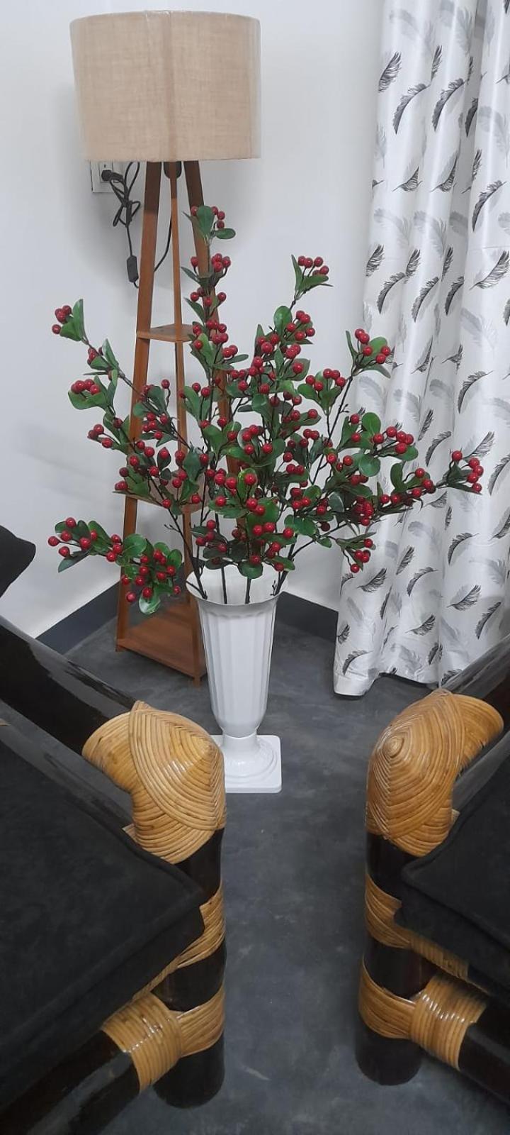 Medajied
