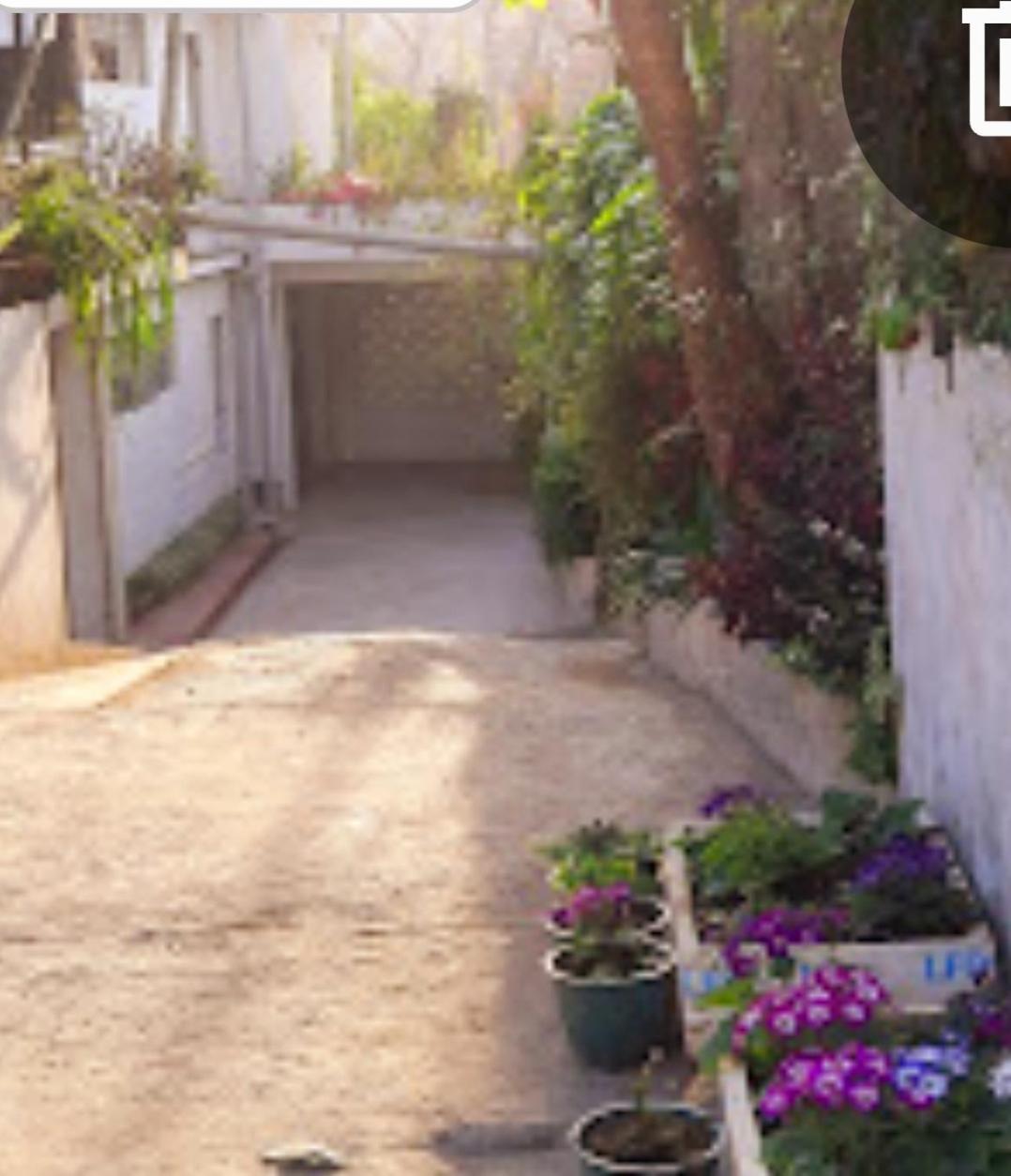Bed & Breakfast Mercy Dez Shillong