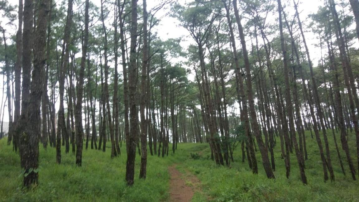 Hills Abode Homestay Shillong