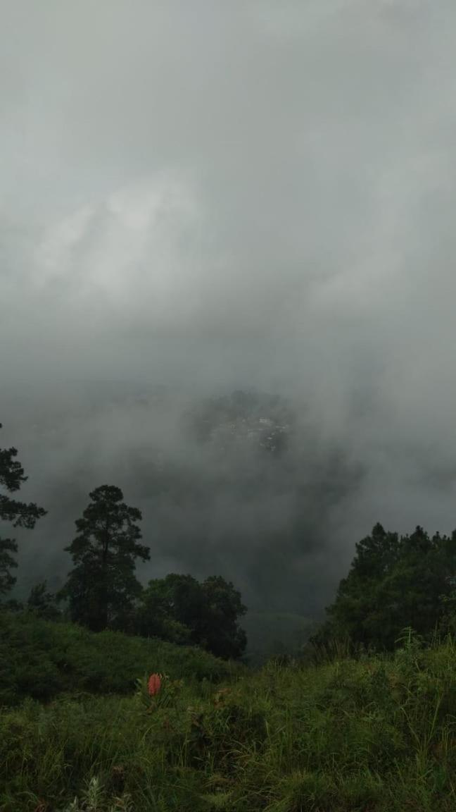 Hills Abode Homestay Shillong