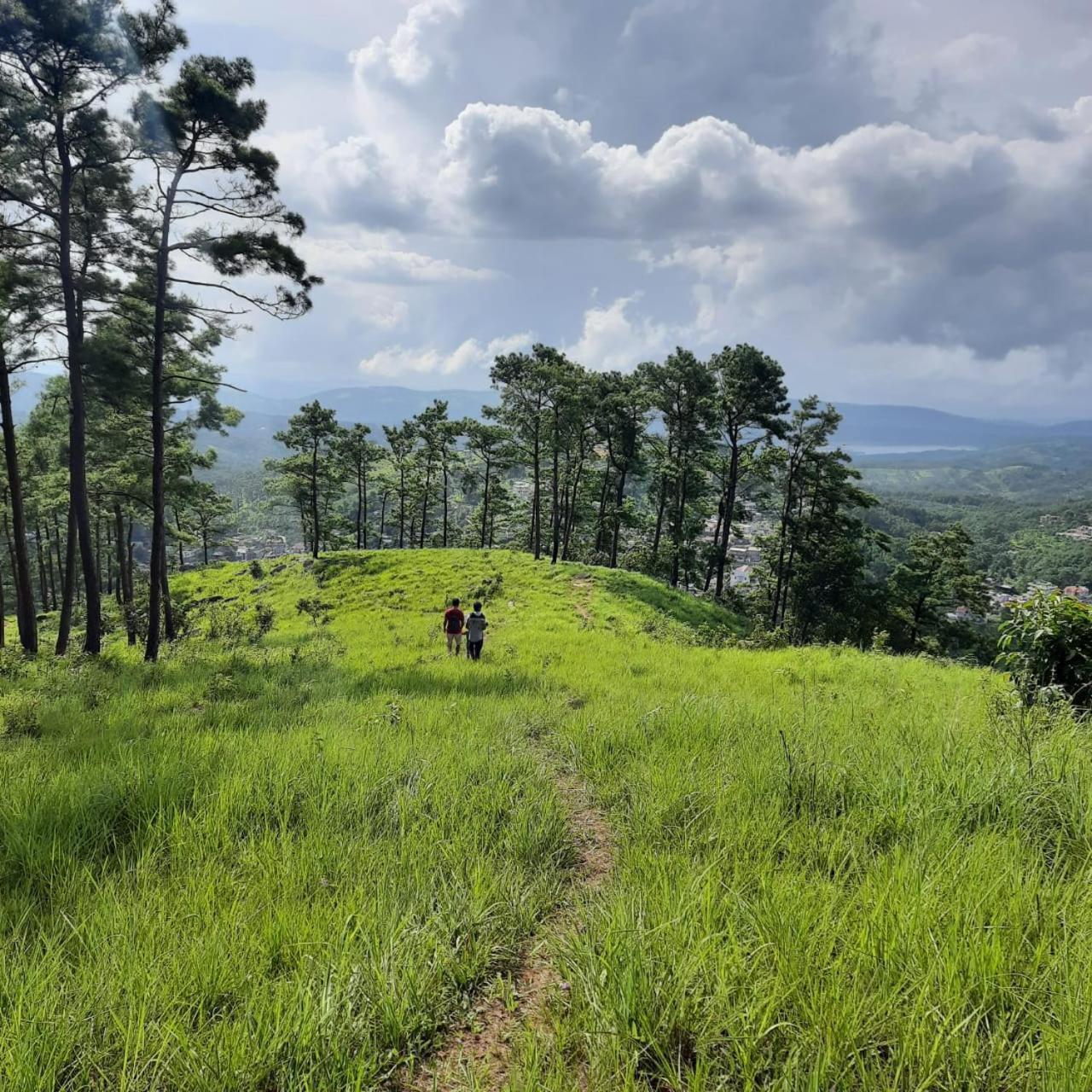 Hills Abode Shillong