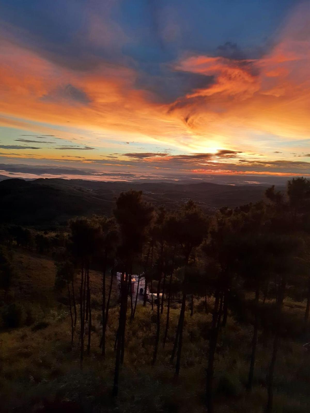 Hills Abode Homestay Shillong