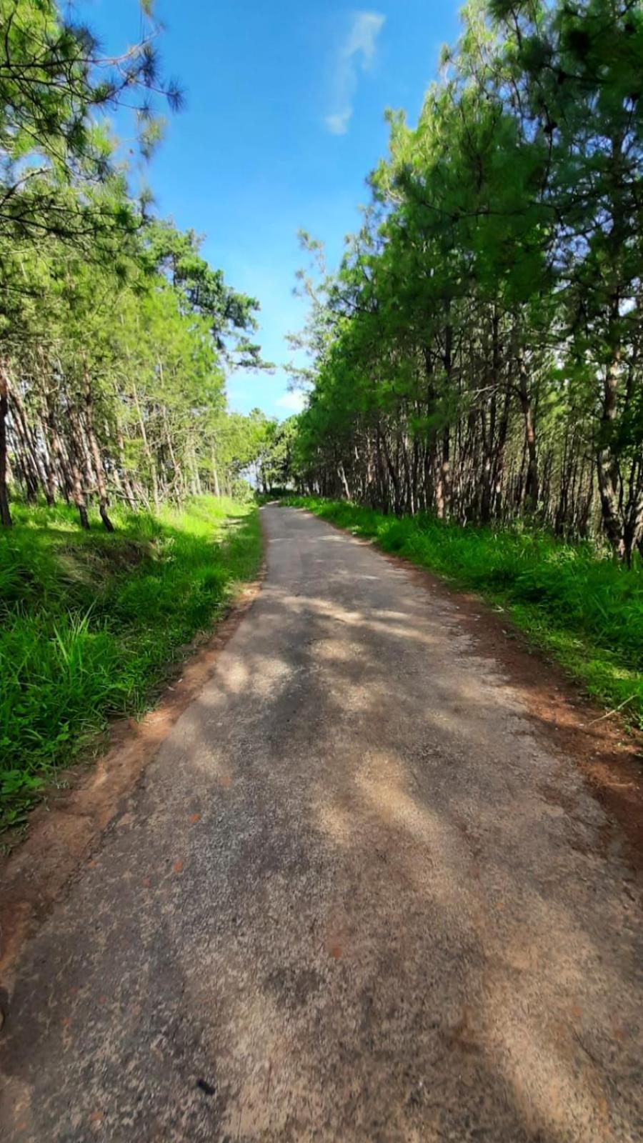 Hills Abode Homestay *