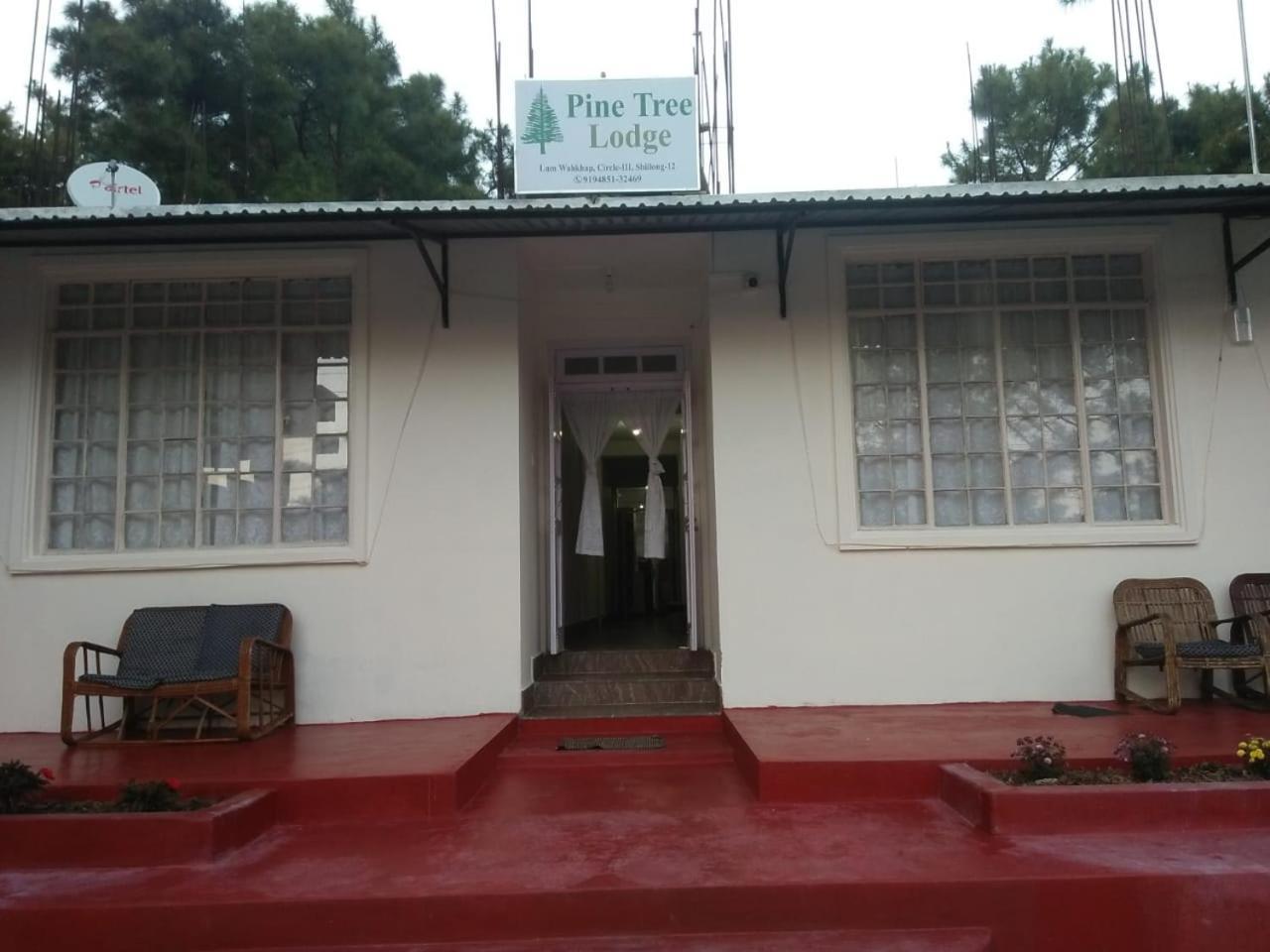 Hotel Pine Tree