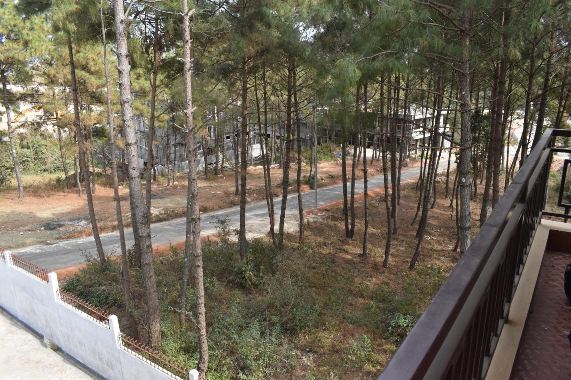 Xtsy Travellers Hostel Shillong
