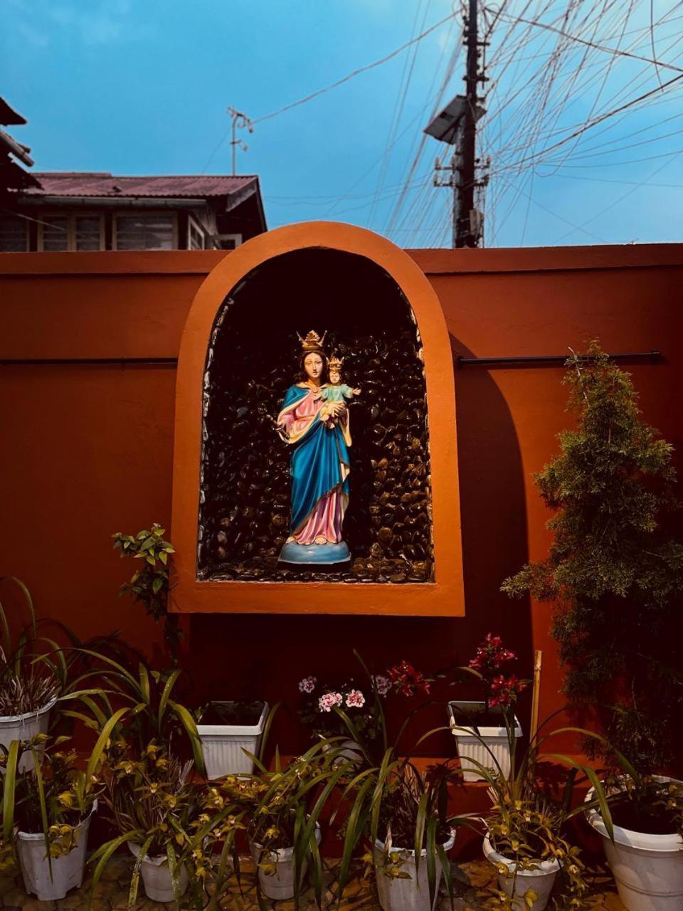 Divina *