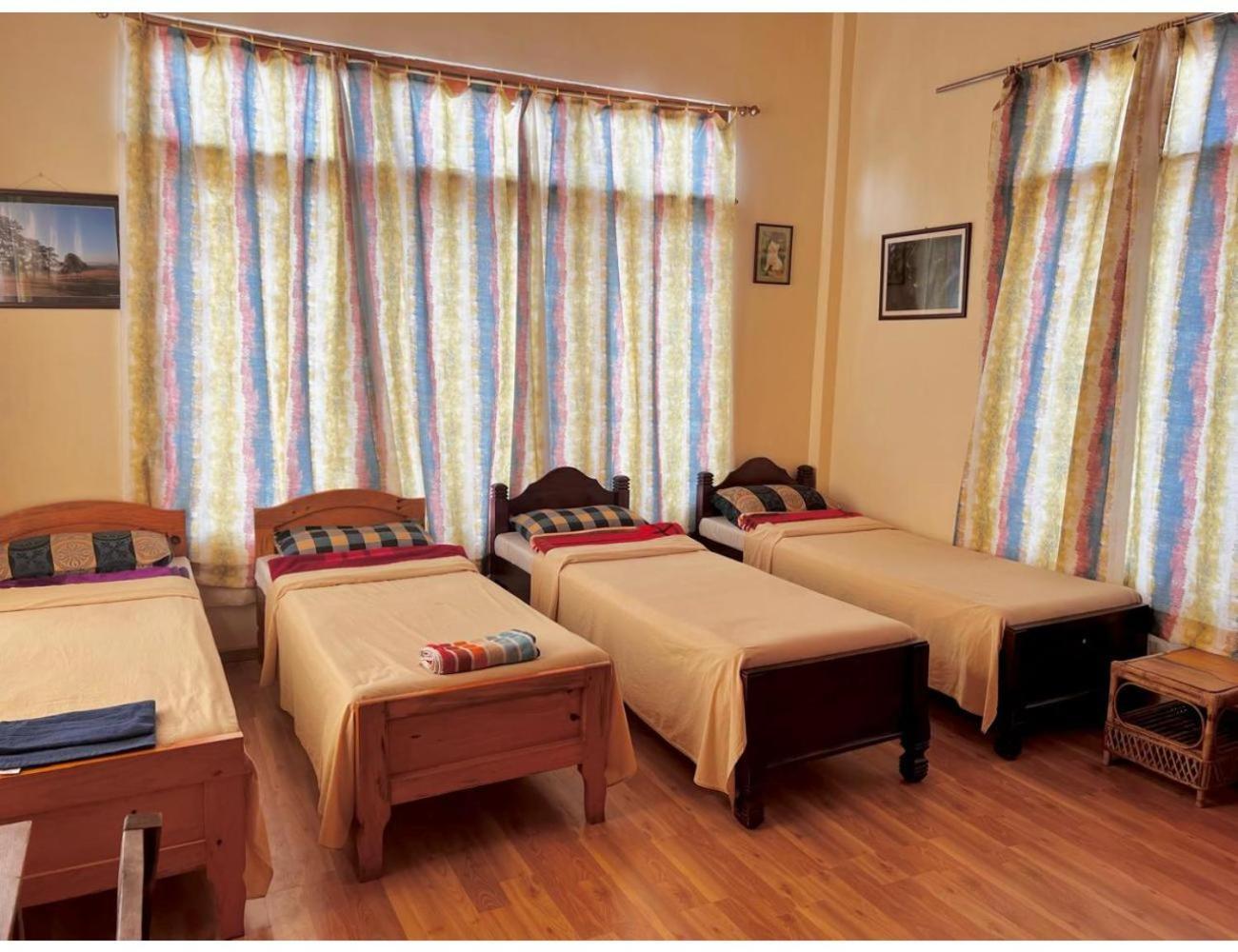 Homestay Pine Air,