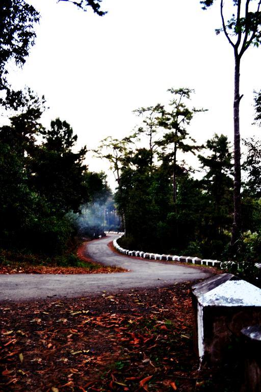 Guest house Dew Drop In Shillong