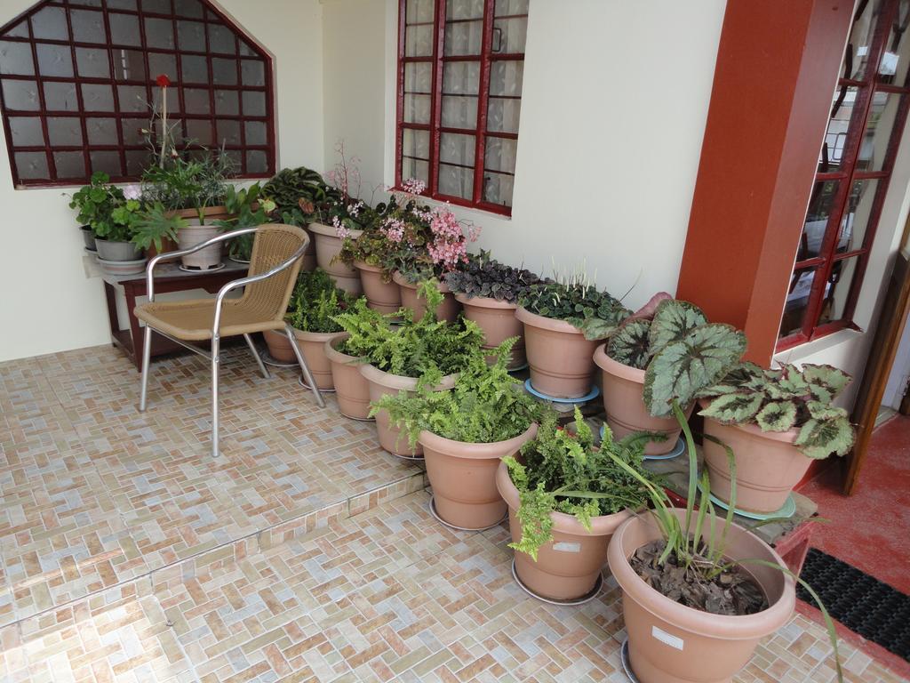 Guest house Dew Drop In