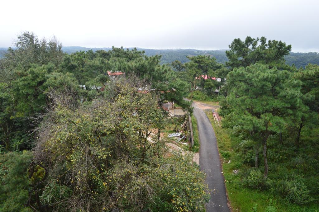 Guest house Orange Homestay *