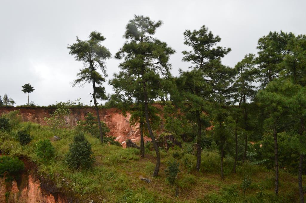 Orange Homestay Shillong