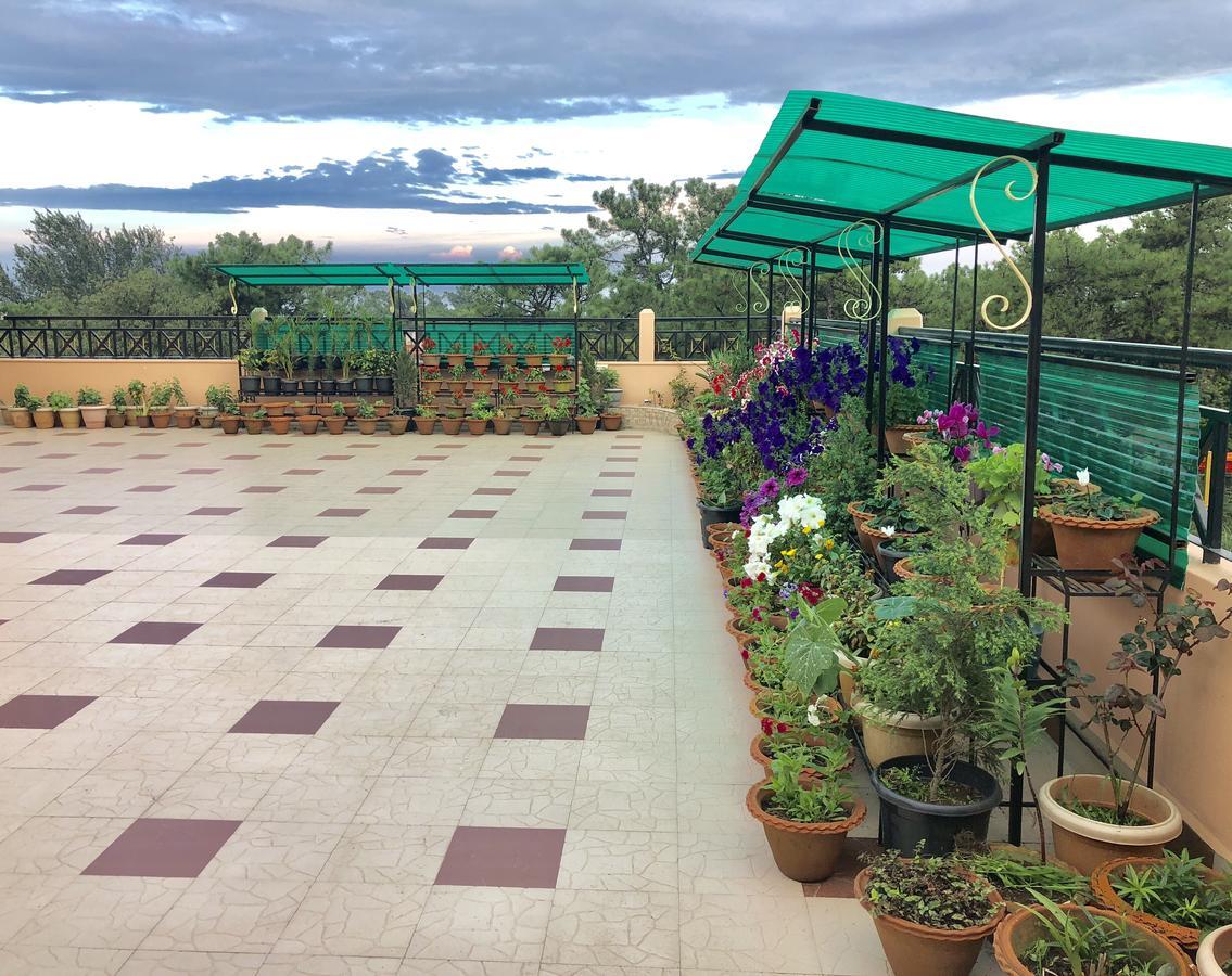 Orange Homestay Guest house *