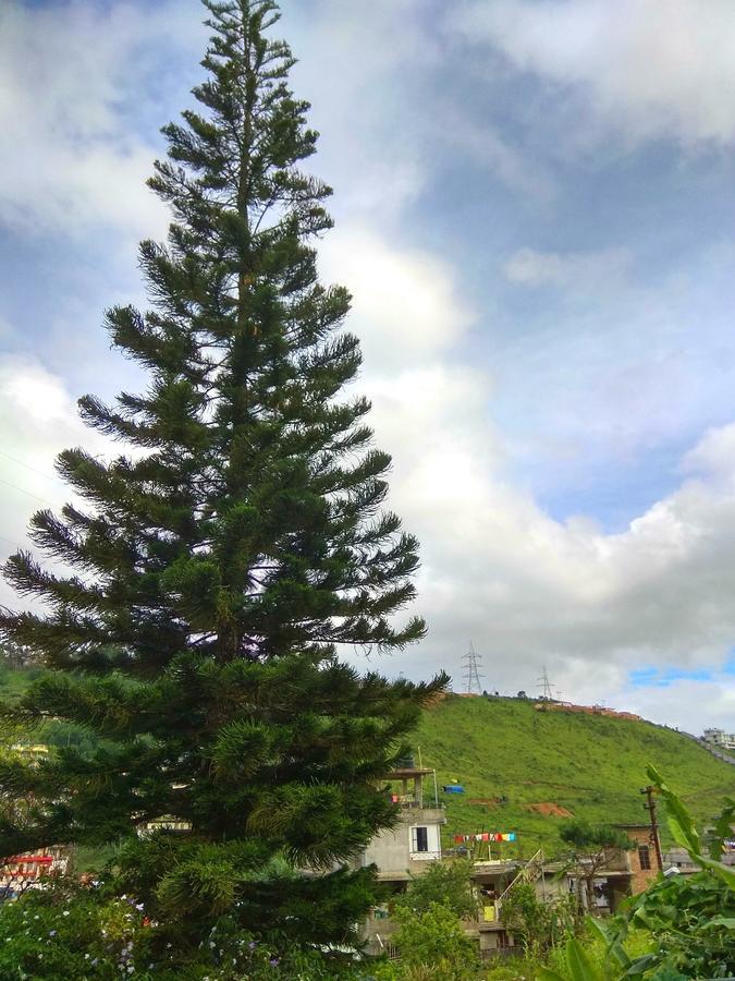Guest house Latei Shillong