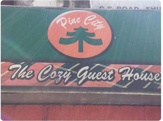 Pine Shillong