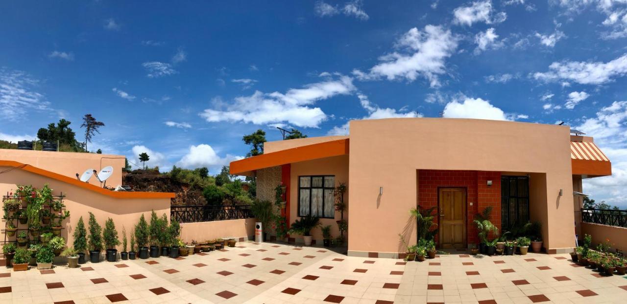 Orange Homestay Guest house *