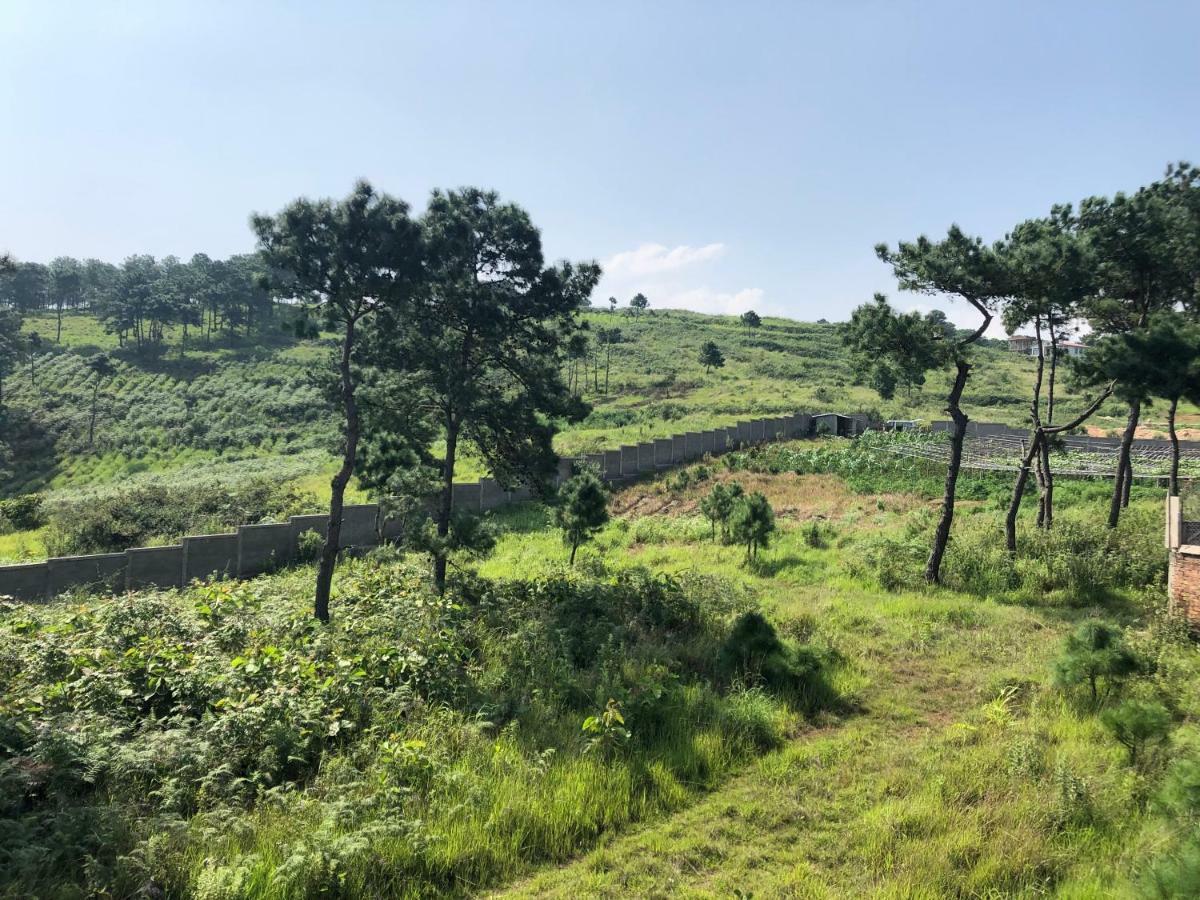Da Blanche * Shillong