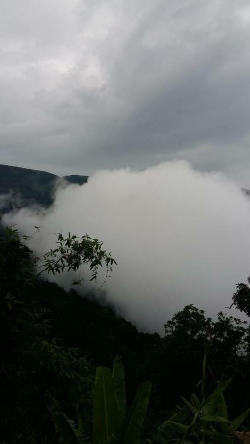 Royal View *