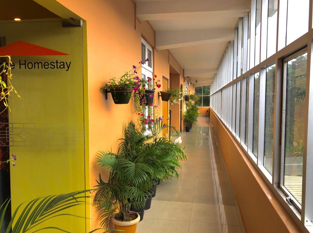 Orange Homestay Guest house