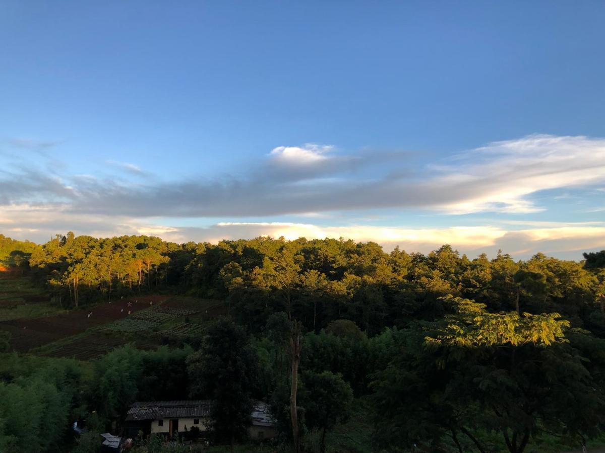 Pine Hill Homestay