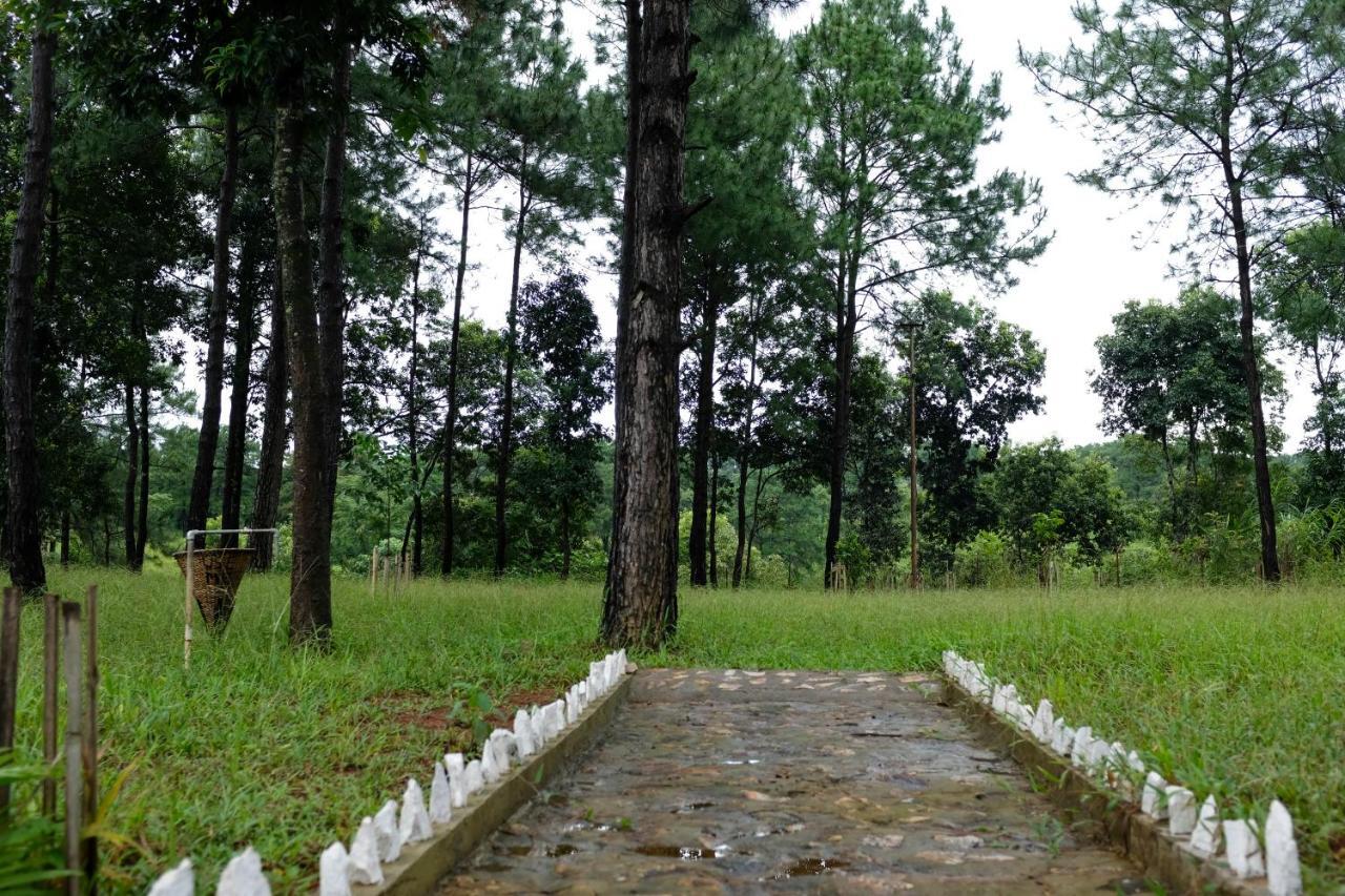 Guest house The Hareth